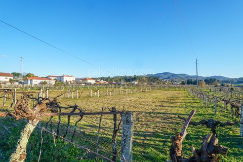 Helårsgrund i Moncao, Viana do Castelo, Moncao - € 110.000 | Ref: 3815 - foto 4