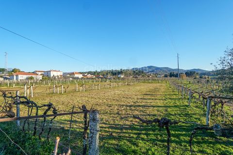Helårsgrund i Moncao, Viana do Castelo, Moncao - € 110.000 | Ref: 3815 - foto 5