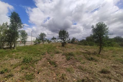 Helårsgrund i Agueda, Aveiro, Agueda - € 320.000 | Ref: VEN-3474 - foto 1