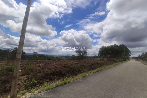 Helårsgrund i Agueda, Aveiro, Agueda - € 320.000 | Ref: VEN-3474 - foto 2