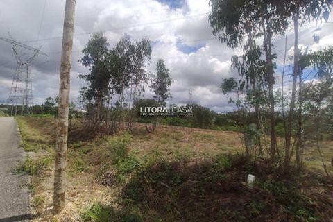 Helårsgrund i Agueda, Aveiro, Agueda - € 320.000 | Ref: VEN-3474 - foto 3