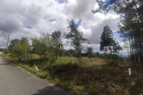 Helårsgrund i Agueda, Aveiro, Agueda - € 320.000 | Ref: VEN-3474 - foto 5