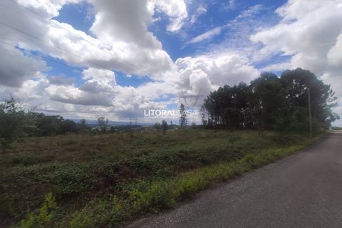 Helårsgrund i Agueda, Aveiro, Agueda - € 320.000 | Ref: VEN-3474 - foto 7