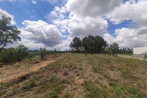 Helårsgrund i Agueda, Aveiro, Agueda - € 320.000 | Ref: VEN-3474 - foto 8