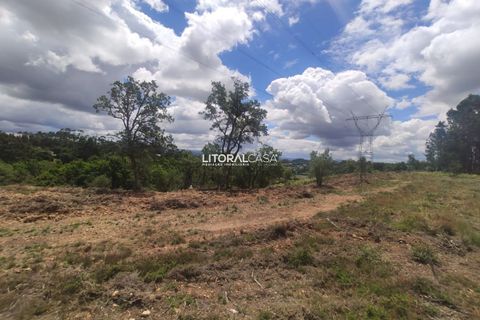 Helårsgrund i Agueda, Aveiro, Agueda - € 320.000 | Ref: VEN-3474 - foto 9