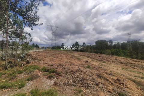 Helårsgrund i Agueda, Aveiro, Agueda - € 320.000 | Ref: VEN-3474 - foto 10