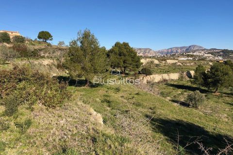 Helårsgrund i Teulada, Alicante, Teulada - € 320.000 | Ref: P6025* - foto 4