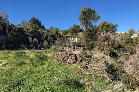 Helårsgrund i Teulada, Alicante, Teulada - € 320.000 | Ref: P6025* - foto 6