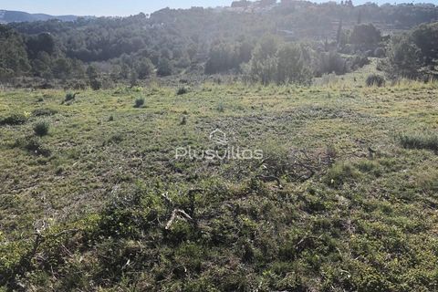 Helårsgrund i Teulada, Alicante, Teulada - € 320.000 | Ref: P6025* - foto 7