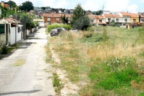 Helårsgrund i Valongo, Porto, Valongo - € 570.000 | Ref: 1586 Mts - foto 11