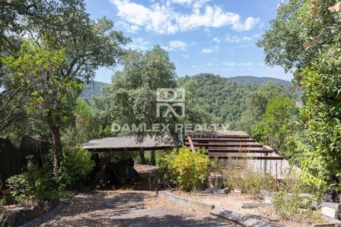 Villa i Lloret De Mar, Gerona, Lloret De Mar - € 410.000 | Ref: 73329 - foto 39