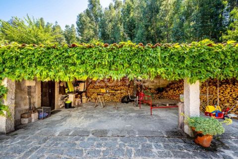 Villa i Arouca, Aveiro, Arouca - € 650.000 | Ref: ZMPT550792 - foto 10