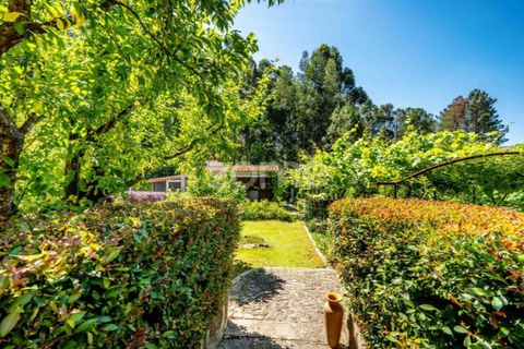 Villa i Arouca, Aveiro, Arouca - € 650.000 | Ref: ZMPT550792 - foto 11