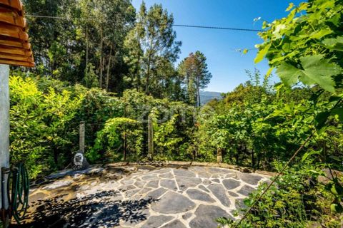 Villa i Arouca, Aveiro, Arouca - € 650.000 | Ref: ZMPT550792 - foto 19