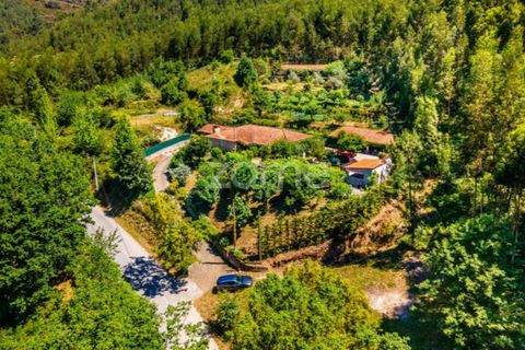 Villa i Arouca, Aveiro, Arouca - € 650.000 | Ref: ZMPT550792 - foto 37