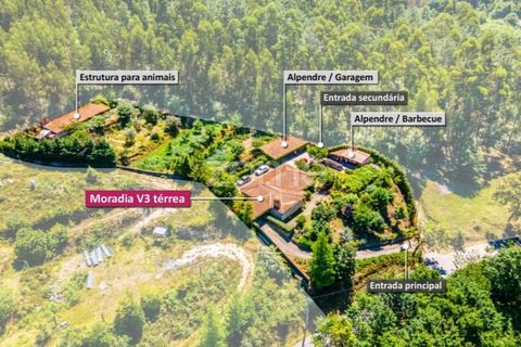 Villa i Arouca, Aveiro, Arouca - € 650.000 | Ref: ZMPT550792 - foto 39