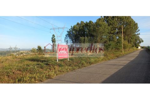 Helårsgrund i Agueda, Aveiro, Agueda - € 320.000 | Ref: AG 3882 - foto 1