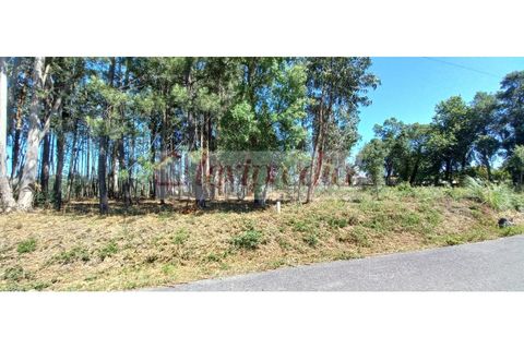 Helårsgrund i Agueda, Aveiro, Agueda - € 320.000 | Ref: AG 3882 - foto 5