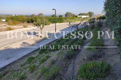 Helårsgrund i Vau, Leiria, Vau - € 125.000 | Ref: BSPM_273 - foto 6