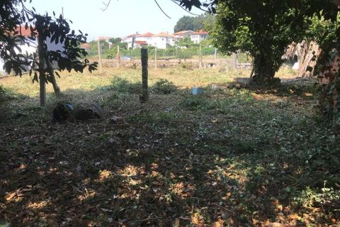 Byhus i Santo Tirso, Porto, Santo Tirso - € 240.000 | Ref: 1489 - foto 31