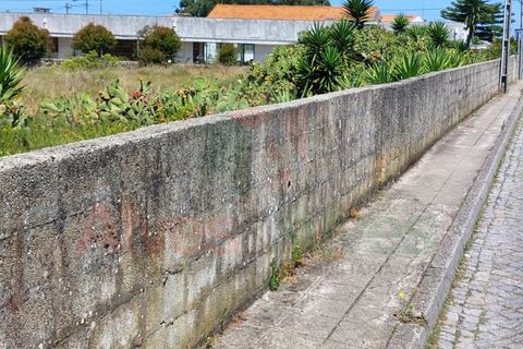 Helårsgrund i Mindelo, Porto, Mindelo - € 450.000 | Ref: 5559 - foto 4