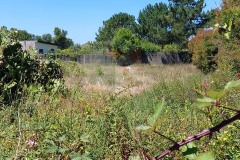 Helårsgrund i Mindelo, Porto, Mindelo - € 450.000 | Ref: 5559 - foto 5