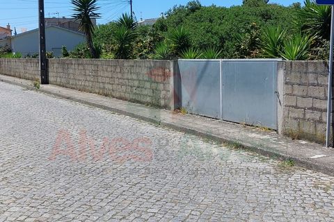 Helårsgrund i Mindelo, Porto, Mindelo - € 450.000 | Ref: 5559 - foto 3