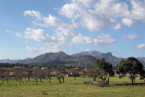 Terra a Pollenca, Mallorca, Pollenca - € 2.500.000 | Ref: POL0092_new - foto 16
