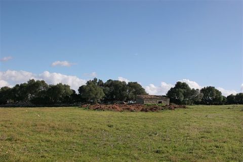 Terra a Pollenca, Mallorca, Pollenca - € 2.500.000 | Ref: POL0092_new - foto 17