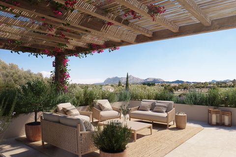 Terra a Pollenca, Mallorca, Pollenca - € 2.500.000 | Ref: POL0092_new - foto 4