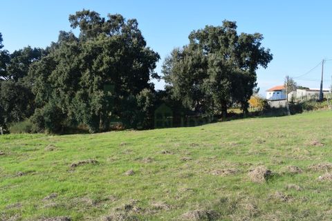 Helårsgrund i Moncao, Viana do Castelo, Moncao - € 50.000 | Ref: MNC1138T - foto 4
