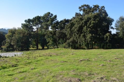 Helårsgrund i Moncao, Viana do Castelo, Moncao - € 50.000 | Ref: MNC1138T - foto 5