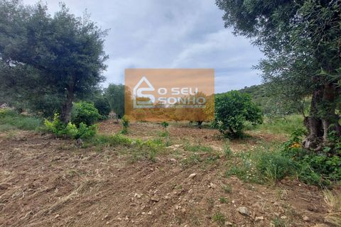 Villa i Estoi, Faro, Estoi - € 185.000 | Ref: 644 - foto 14