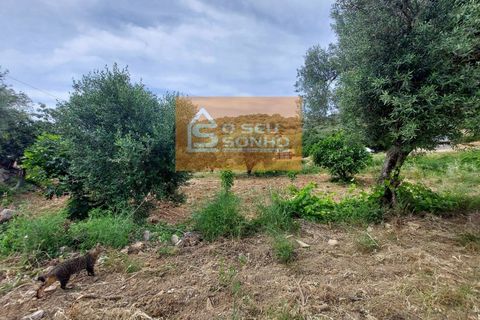Villa i Estoi, Faro, Estoi - € 185.000 | Ref: 644 - foto 15
