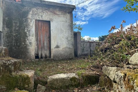 Landejendom i Lamego, Viseu, Lamego - € 16.000 | Ref: LMG_3730 - N - foto 4