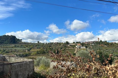 Landejendom i Lamego, Viseu, Lamego - € 16.000 | Ref: LMG_3730 - N - foto 5