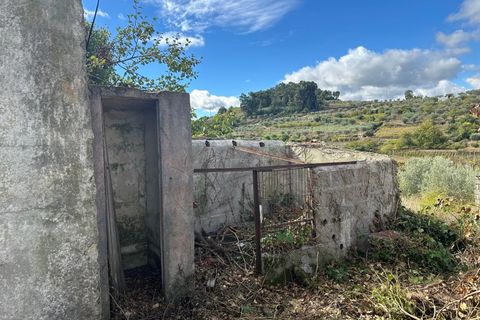 Landejendom i Lamego, Viseu, Lamego - € 16.000 | Ref: LMG_3730 - N - foto 6