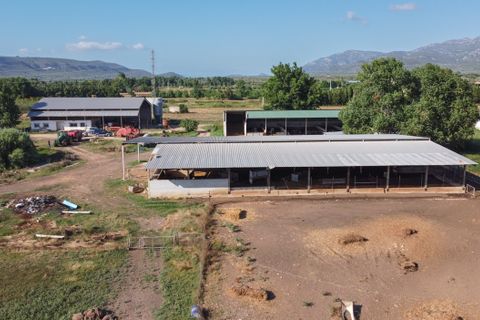 Farm hus i Ulldecona, Tarragona, Ulldecona - € 400.000 | Ref: 713 - foto 9