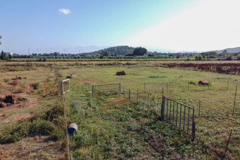 Farm hus i Ulldecona, Tarragona, Ulldecona - € 400.000 | Ref: 713 - foto 12