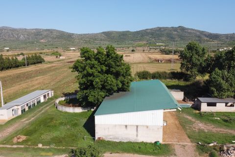 Farm hus i Ulldecona, Tarragona, Ulldecona - € 400.000 | Ref: 713 - foto 26