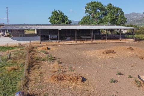 Farm hus i Ulldecona, Tarragona, Ulldecona - € 400.000 | Ref: 713 - foto 10