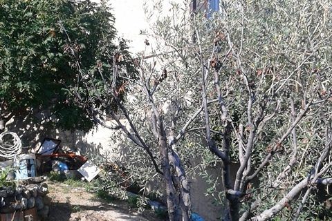 Tomt i Messina, Messina, Messina - € 79 000 | Ref: 2VT21 - foto 3