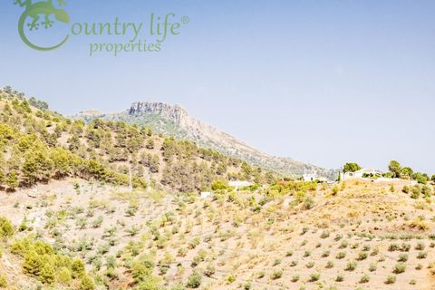 Villa a Alcaucin, Malaga, Alcaucin - € 295.000 | Ref: ALC101 - foto 23