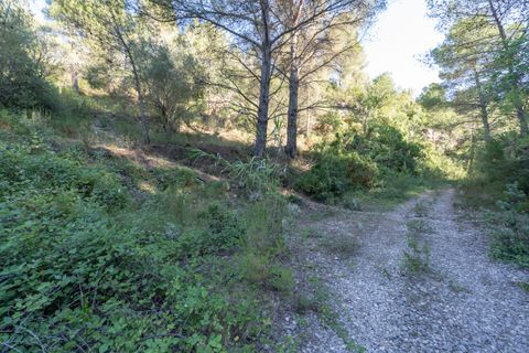 Finca i Mas De Barberans, Tarragona, Mas De Barberans - € 10.000 | Ref: 716 - foto 11