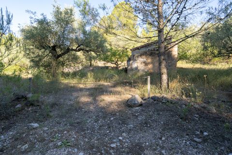 Finca i Mas De Barberans, Tarragona, Mas De Barberans - € 10.000 | Ref: 716 - foto 7