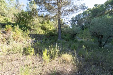 Finca i Mas De Barberans, Tarragona, Mas De Barberans - € 10.000 | Ref: 716 - foto 10
