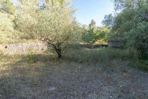 Finca i Mas De Barberans, Tarragona, Mas De Barberans - € 10.000 | Ref: 716 - foto 8