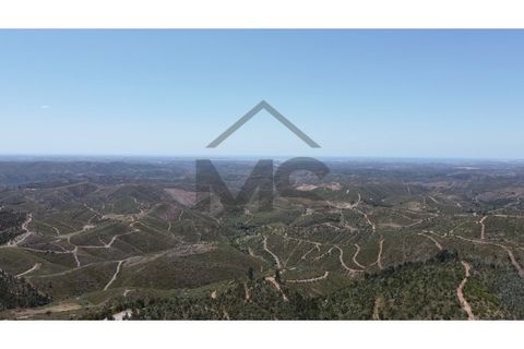 Helårsgrund i Monchique, Faro, Monchique - € 77.000 | Ref: MS038 - foto 3