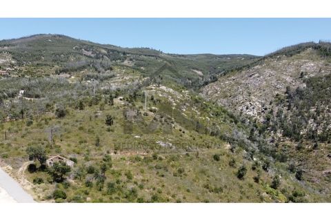 Helårsgrund i Monchique, Faro, Monchique - € 77.000 | Ref: MS038 - foto 4