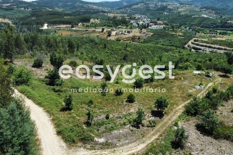 Tomt i Arganil, Coimbra, Arganil - € 48 000 | Ref: RR88952 - foto 2